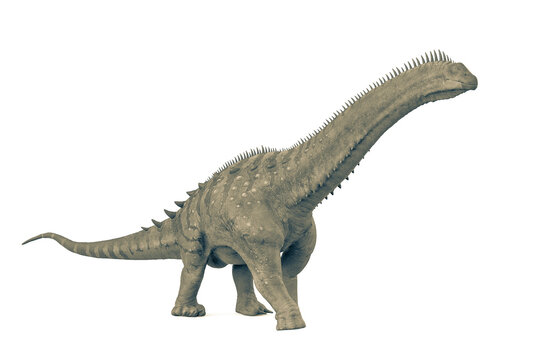 alamosaurus is walking down in white background