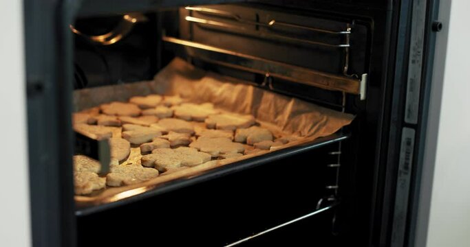 Close up shot selective focus on new industrial oven. Woman's hands taking baking tray with delicious tasty cookies biscuits in different shapes from oven.Cooking concept.