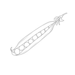 outline green pea pod in cartoon style, green pea for coloring isolated on white background