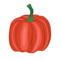 Bulgarian red pepper in cartoon style