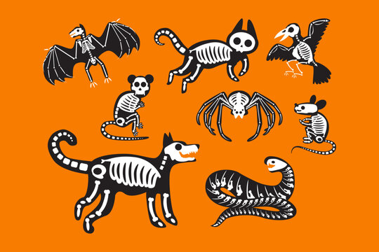 Animal skeleton halloween celebration set vector
