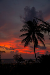 Krajobraz egzotyczny. Tropikalny zachód słońca pod palmami w Tajlandii. Egzotyczne krajobrazy i...