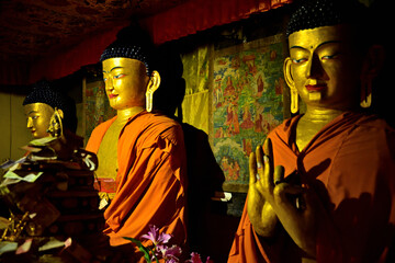 Fototapeta premium インド最北の秘境、ラダック地方スタクナ僧院の仏像