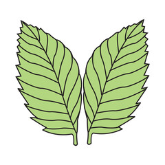 green leaf icons set on white background in eps 10