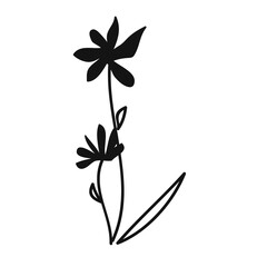Wild Flower Silhouette. Hand Drawn Floral Illustration