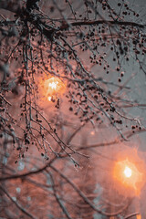 The first snow in the night city with a blurred background in the light of lanterns