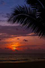Krajobraz morski. Zachód słońca pod palmami, Tajlandia