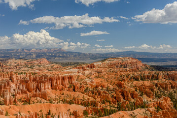 Fototapeta na wymiar View of Bryce Canyon