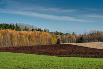Naklejka premium autumn landscape in Latvia