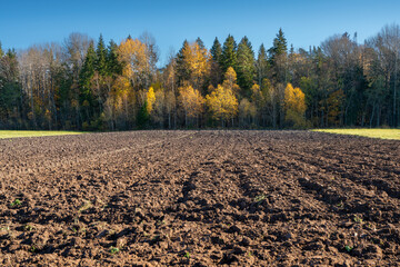 plowed field in autumn