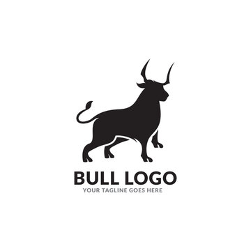 bulls logo design, bulls logo, icon, bull, cow