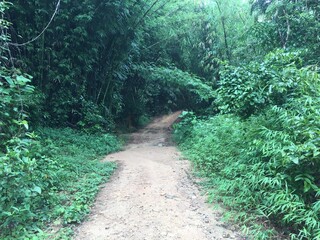 Ceci est une description