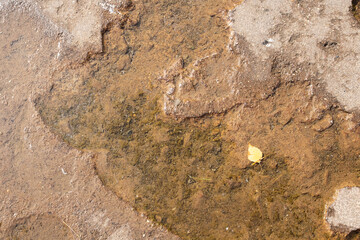 Grey uneven stone closeup background or texture