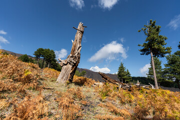 Ätna - Etna Landschaft in Sizilien