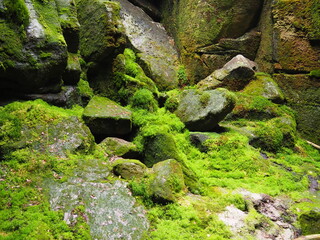 green mossy stones and rocks