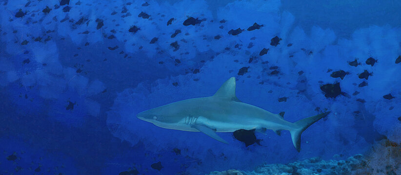 White shark in the middle of a school of fish, wide panoramic view