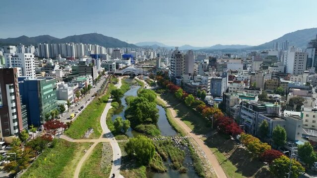 대한민국 대전 대전천 풍경 - 02