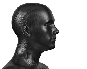 3d illustration of a male bald black head on a white background. Dummy.