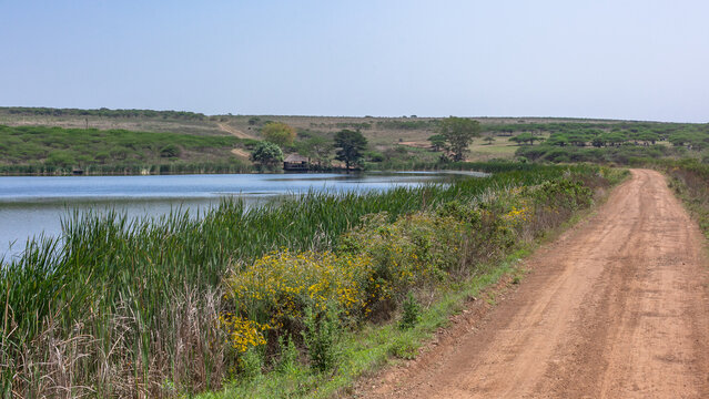  Wilderness Wetland Lake Dirt Road Wildlife Landscape