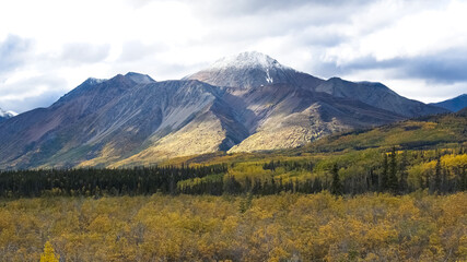 Canada, Yukon, view of the tundra in autumn, with mountains in background, beautiful landscape in a wild country
