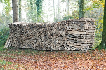 Selbstversorger - Holzscheite lagern gestapelt im Wald	