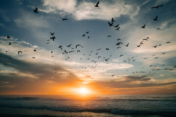 Golden sunset over the sea with beautiful cloudy sky on background and silhouette of fluing birds. Amazing tranquil scene in soft light colors, copy space