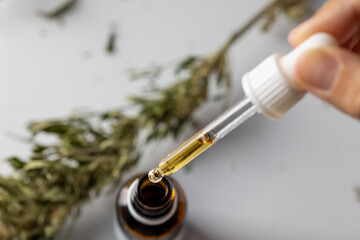 CBD cannabis droplet dosing a biological and ecological hemp plant herbal pharmaceutical CBD oil from Cannabidiol. Concept of herbal alternative medicine, Cannabidiol oil, pharmaceutical industry