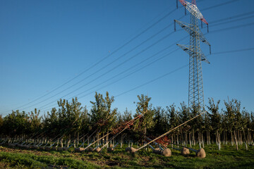 Outdoor sunny view of trees and agricultural field under high voltage post and cable on countryside...