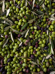 olives