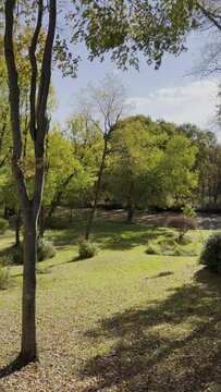 A beautiful park like setting along Slippery Rock Creek. It is a windy day with leaves blowing and falling from the trees. It is vertical with nobody in it. 