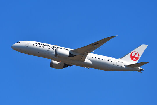 Chiba Prefecture, Japan - February 23, 2022:Japan Airlines (JAL) Boeing B787-8 Dreamliner (JA831J) passenger plane.