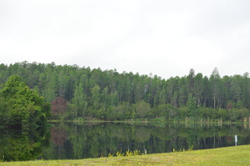 lake with sign and trees