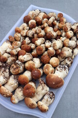 Steinpilze frisch gesammelt.