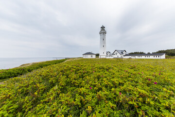 Fototapeta na wymiar The historical lighthouse a the coast of Skagerrak in Hirtshals, Denmark