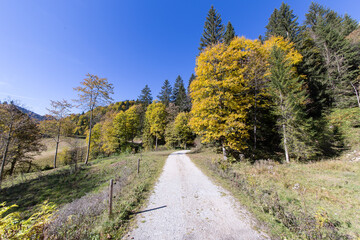 Gesäuse Nationalpark, Austria, Beautiful autumn colors around a hiking trail