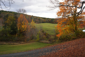 vermont late foliage