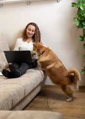 Attractive young woman 35+ playing with a dog, showing on a green screen monitor, watching video...