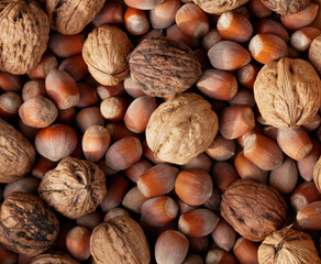 Nuts and hazelnuts