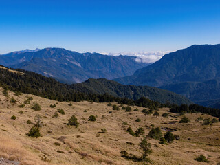 Sunny view of the landscape of Hehuanshan