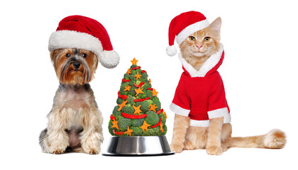 Dog and cat in Santa hats with a vegan Christmas tree in the bowl