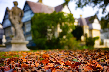 Autumn leaves and statue