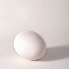 egg on a white background