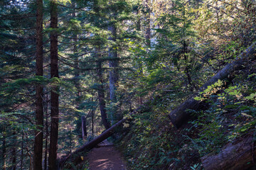 Idaho Gem: Shadow Falls