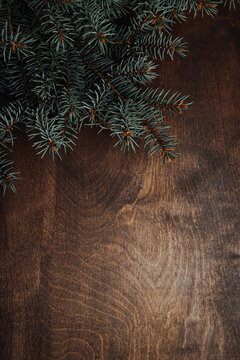 Spruce branch on a wooden background
