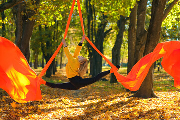 Young woman practicing aerial silks on a trees background in autumn. Aerial silks artist performing...