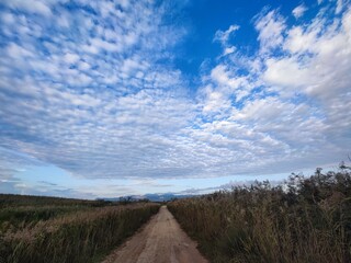landscape with clouds