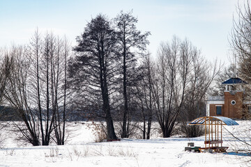 Winter forest park, sunny daytime landscape.