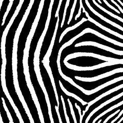 Fototapeta na wymiar Zebra print. Zebra skin texture. Zebra skin, stripes pattern