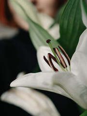 white lily flower. celebration atmosphere