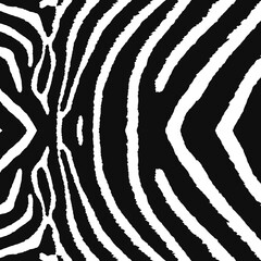 Fototapeta na wymiar Zebra print. Zebra skin texture. Zebra skin, stripes pattern